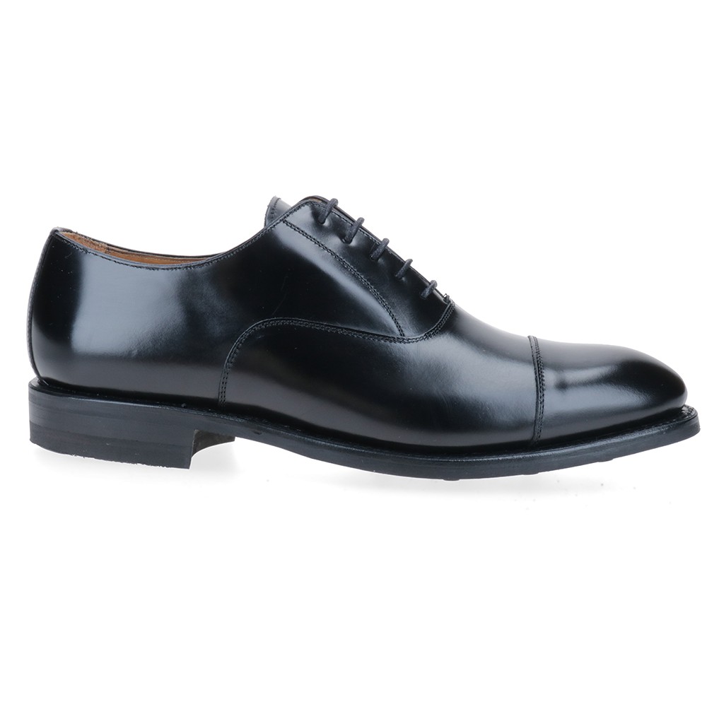 Berwick 1707 5217-T06 ROIS NEGRO Promoción trimestral