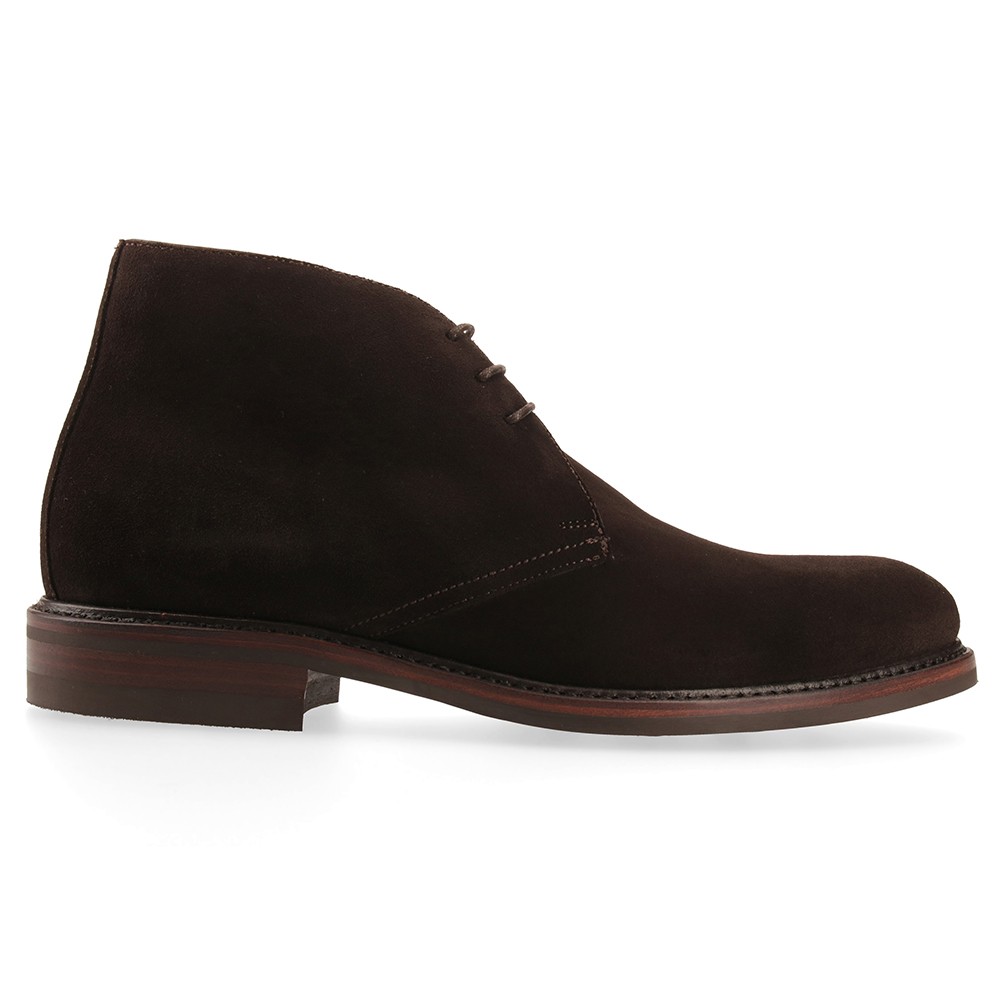 Berwick 1707 320-K4 SUPERBUCK CAFÉ Libre de impuestos