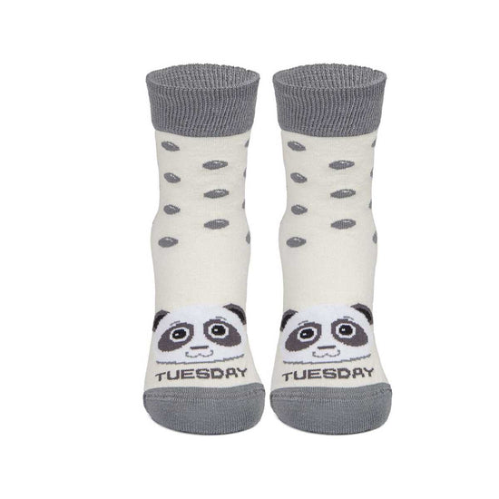 Callaghan 12 | Tuesday Panda Beig Descuento