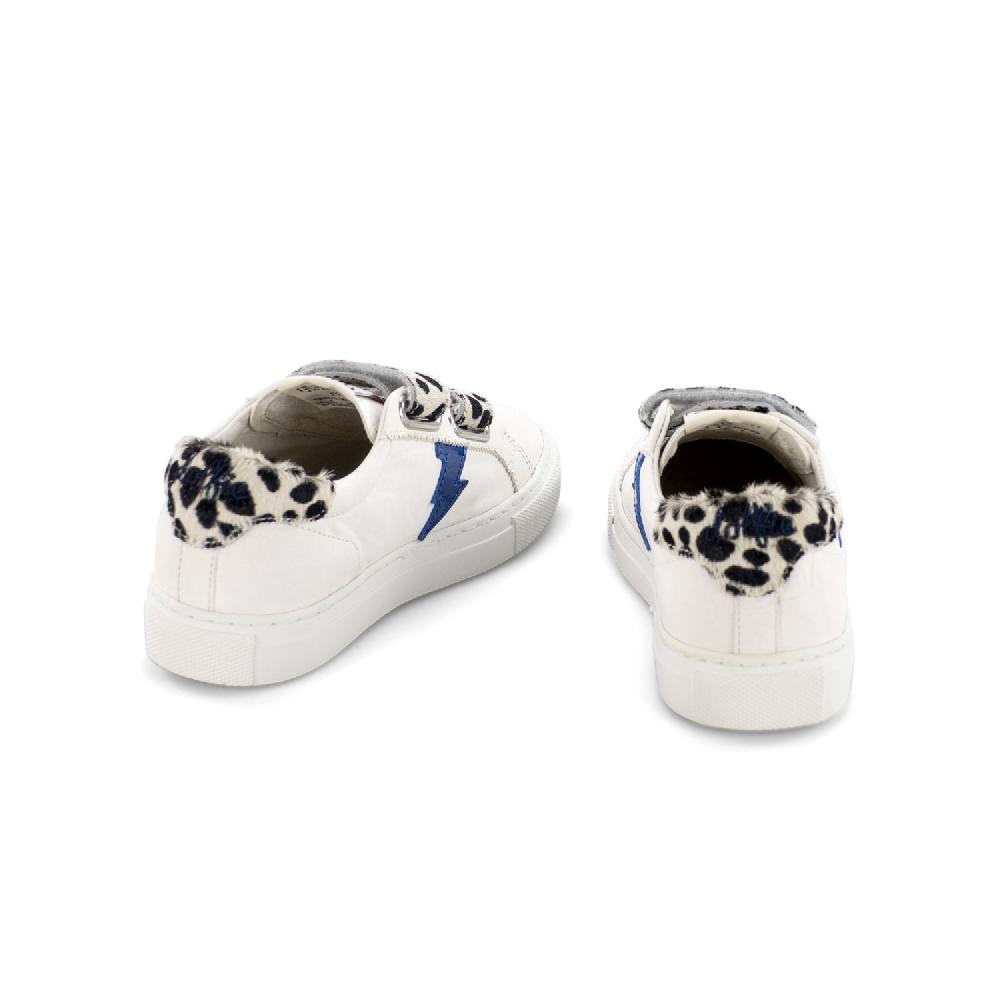 Dolfie STARMAN KIDS 4 - ELITA Superdescuento