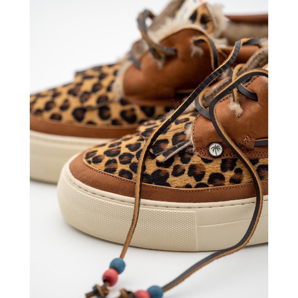 Dolfie MOE F 1 - LEOPARD Limitado a 3 días