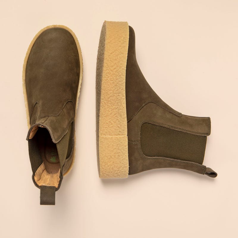 El naturalista N5921 PLEASANT FOREST / DOLMEN COMPRAR AHORA