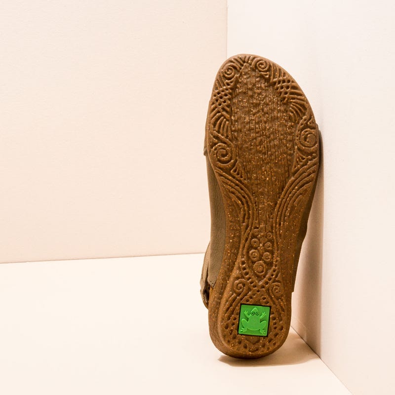 El naturalista N5068 PLEASANT KAKI / WAKATAUA 2025