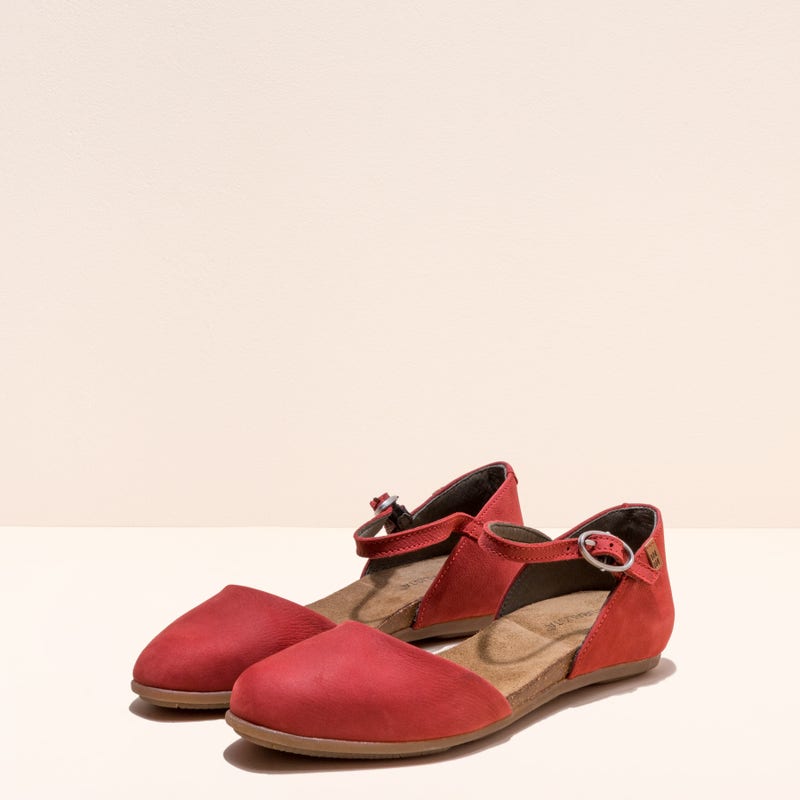 El naturalista ND54 STELLA Ofertas especiales