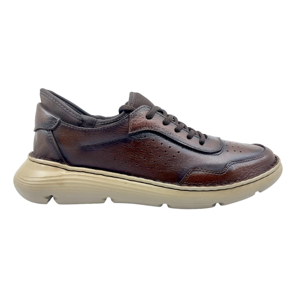 lobo solo CHOCLO CABALLERO 8064 ALAN Outlet