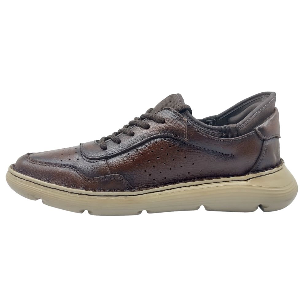lobo solo CHOCLO CABALLERO 8064 ALAN Outlet
