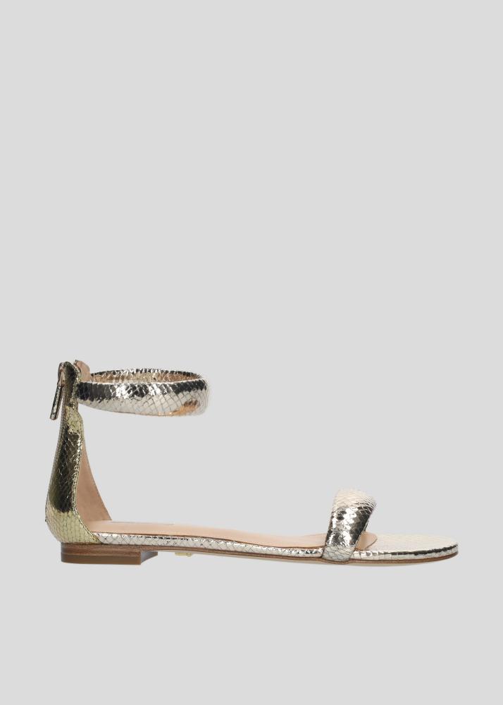lola cruz AMY FLAT ÚLTIMAS EDICIONES