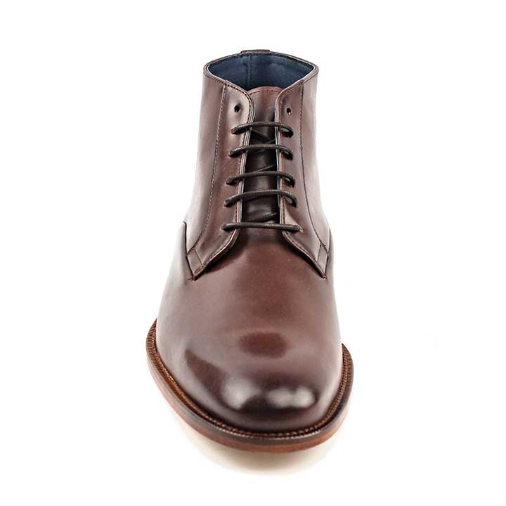 segarra Bayle Brandy Ofertas especiales