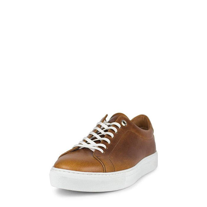 sendra 16526 ANDRES-C EVOLUTION TANG Oferta especial