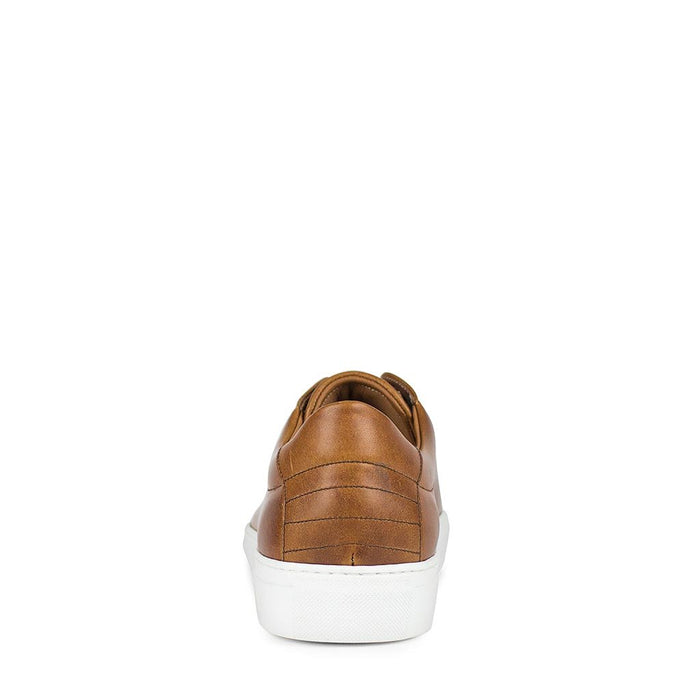 sendra 16526 ANDRES-C EVOLUTION TANG Oferta especial