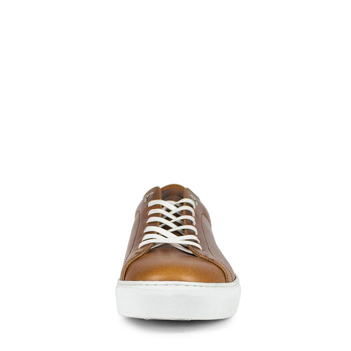 sendra 16526 ANDRES-C EVOLUTION TANG Grandes descuentos