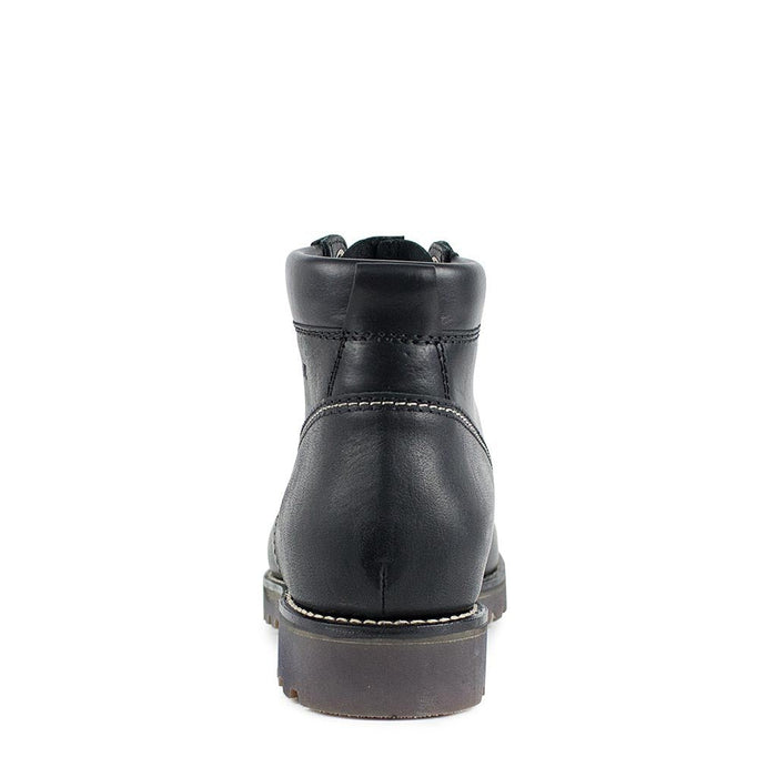 sendra 16573 Kaspar Evolution nergo Solo hoy