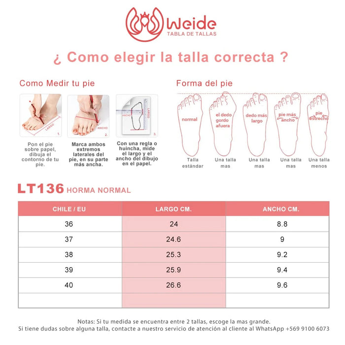 weide CHALAS MUJER WEIDE LT136 Descuento